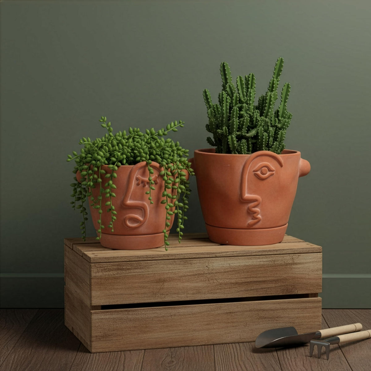 HERDUK unique gift idea for plant lovers and art enthusiasts