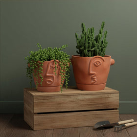 HERDUK unique gift idea for plant lovers and art enthusiasts