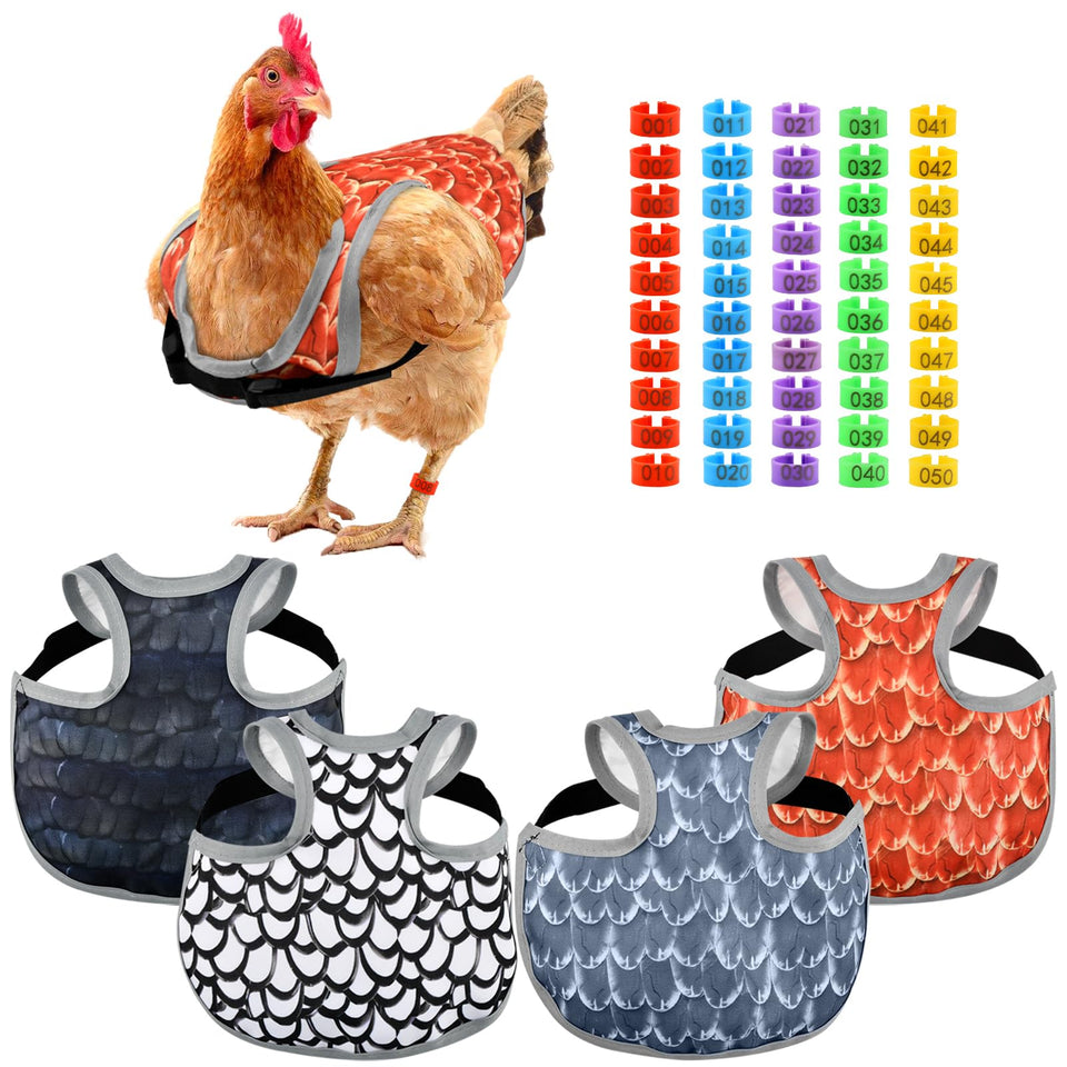 Herxsin chicken saddle on a hen back provides protective shield against pecking