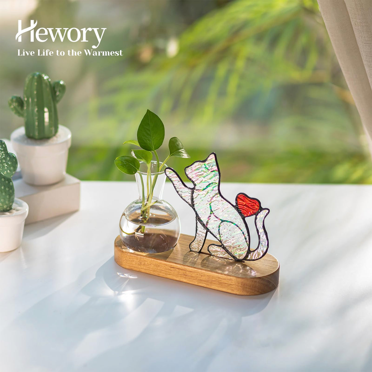Hewory cat propagation station on a wooden stand enhances windowsill display