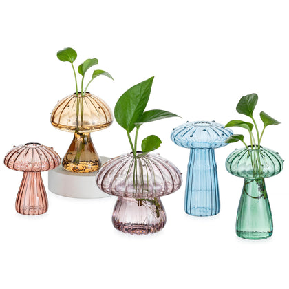 Hewory glass mushroom propagation vase collection showcases colorful design for compact indoor gardens.