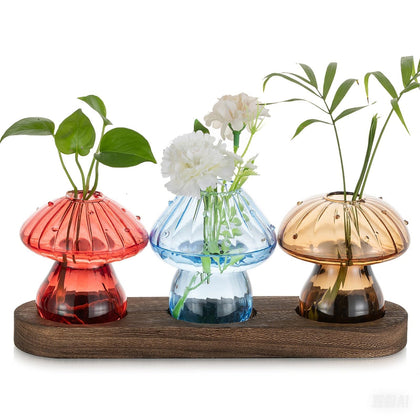 Hewory glass mushroom propagation jars offer clear root observation for DIY plant propagation.