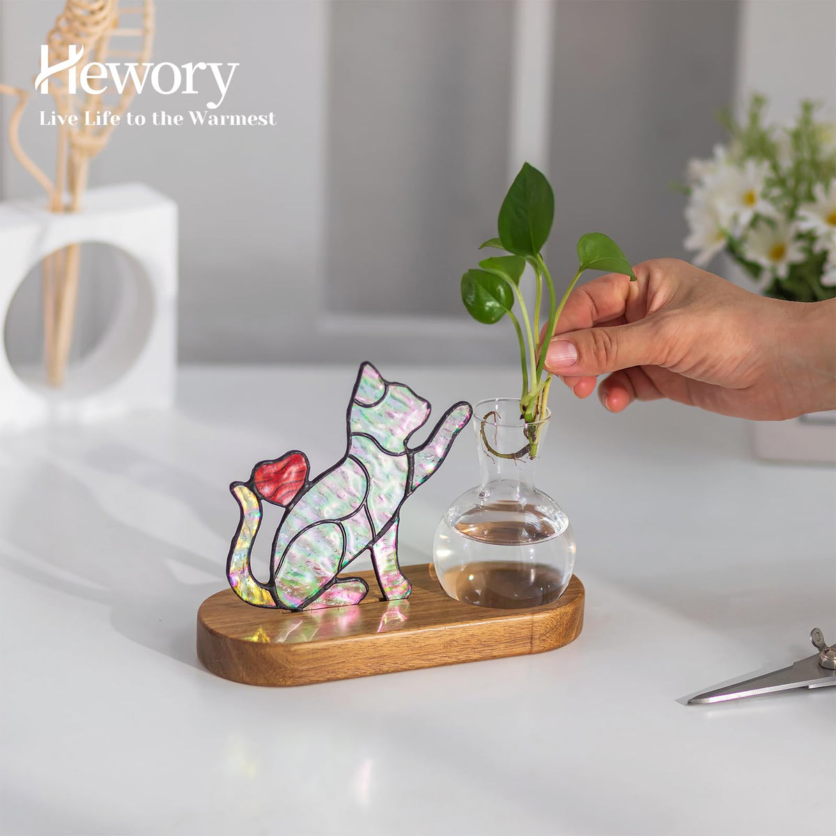 Hewory ready-to-gift packaging protects the cat planter during shipping