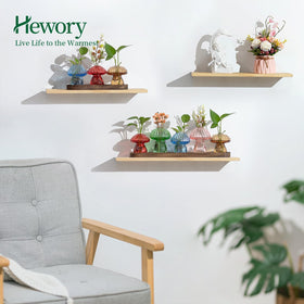 Hewory propagation jars with openings 1.7–3 cm suit cuttings and small plants.