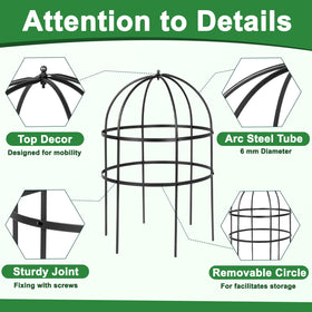 Heytimi grow-through flower support gives a stylish frame for climbing plants.