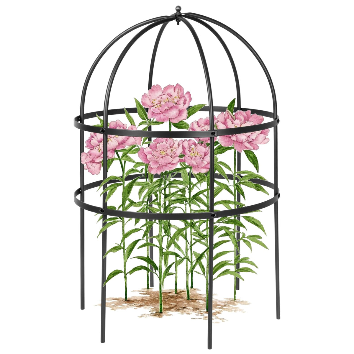 Heytimi Jardin bird cage plant support in black provides 24-inch height for sturdy perennial display.