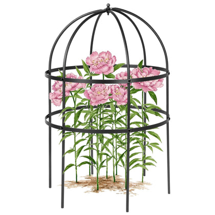 Heytimi Jardin bird cage plant support in black provides 24-inch height for sturdy perennial display.