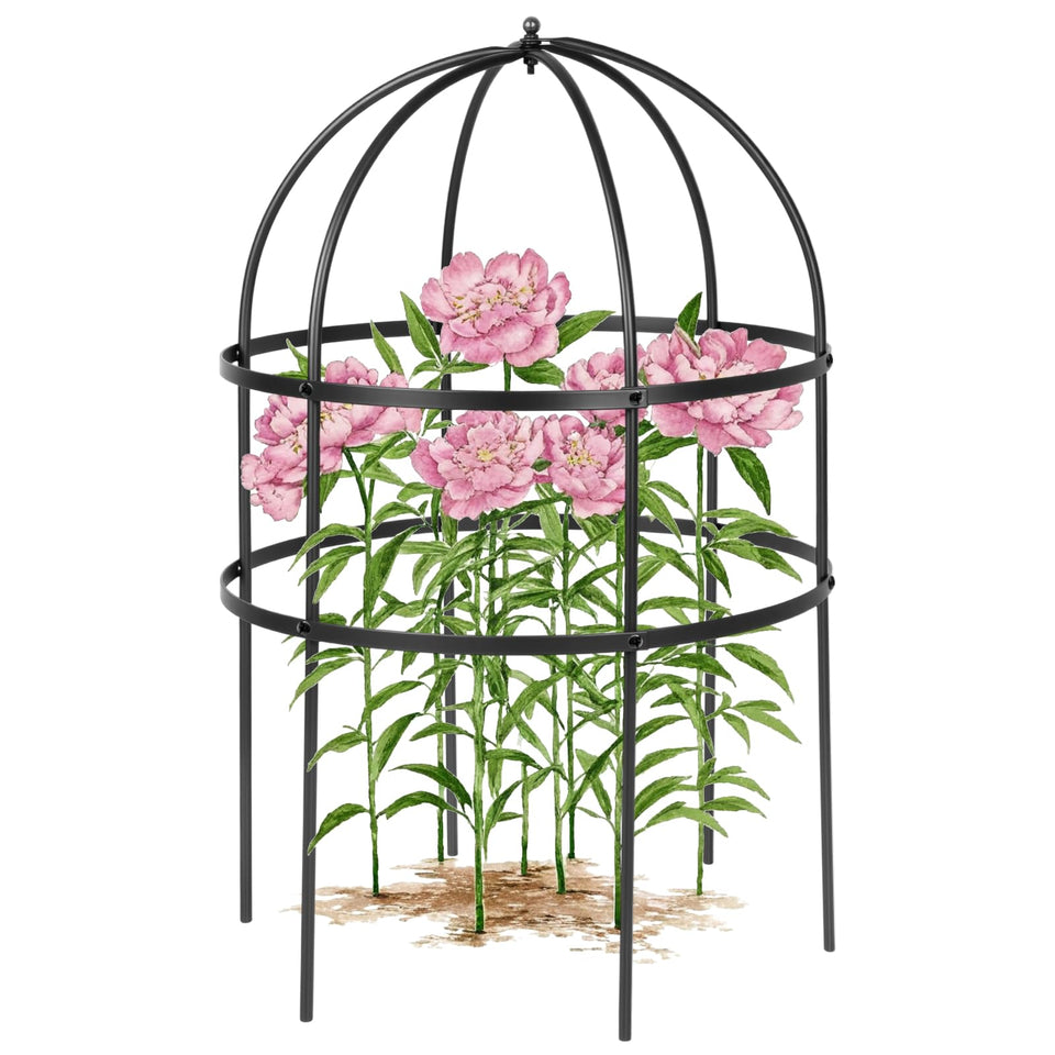 Heytimi Jardin bird cage plant support in black provides 24-inch height for sturdy perennial display.