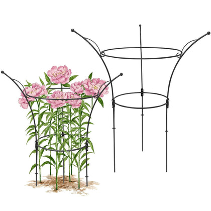Heytimi peony cages 2pack front view showing sturdy black garden stakes for upright blooms.
