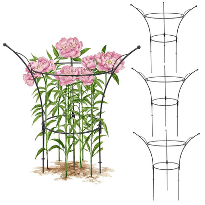 HEYTIMI peony cages provide a sturdy large-circle frame for upright blooms.