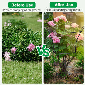Heytimi peony cages ground installation demonstrating quick, tool-free placement in a garden bed.