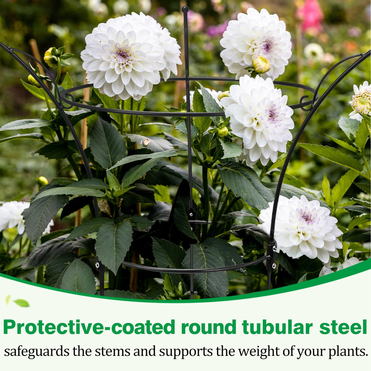 Heytimi peony cages rustproof coating ensuring long-lasting performance in seasonal weather.