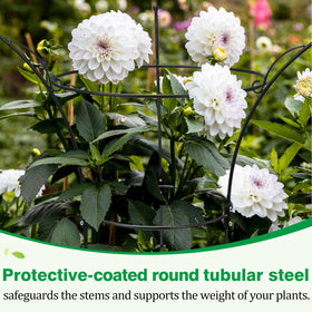 Heytimi peony cages rustproof coating ensuring long-lasting performance in seasonal weather.