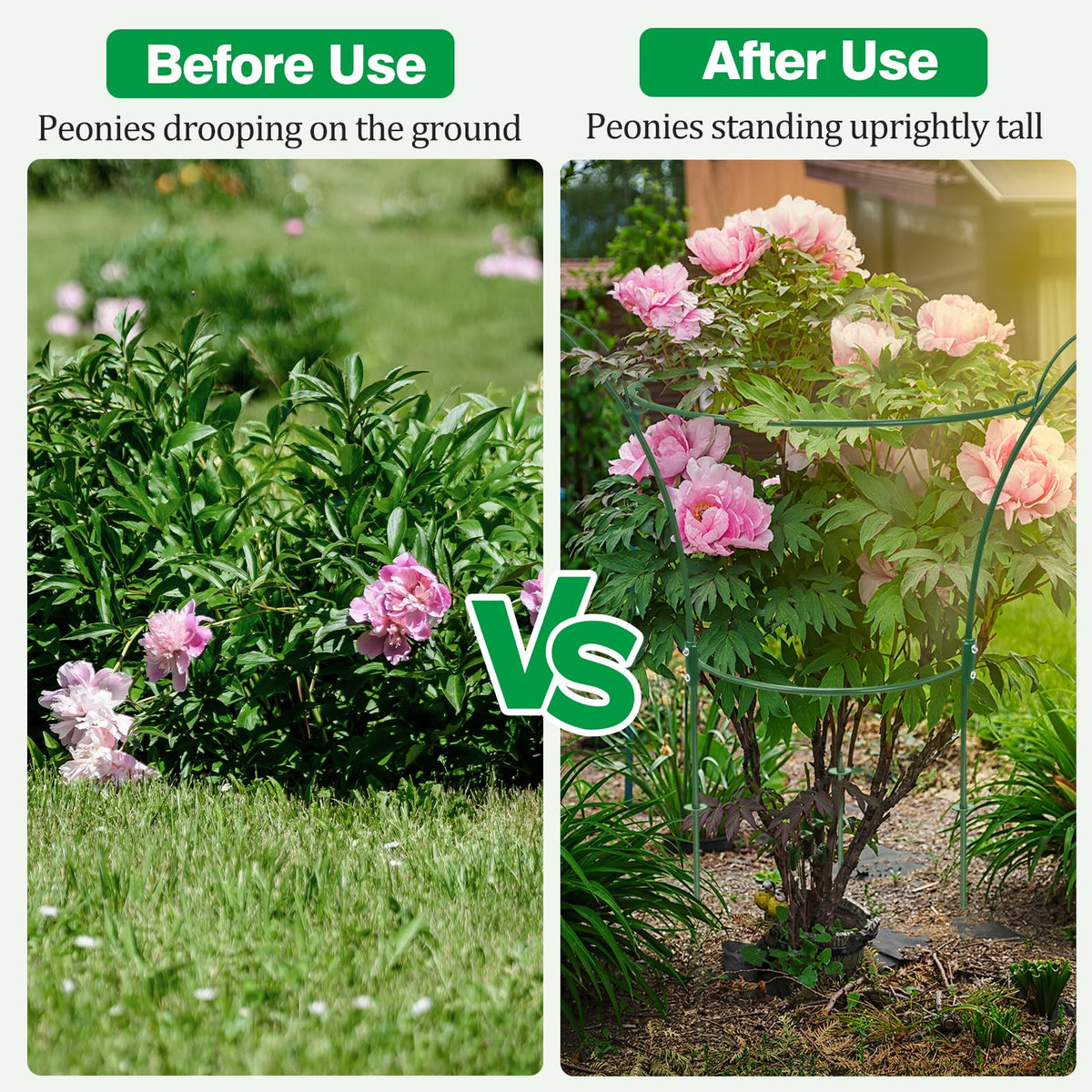 HEYTIMI rustproof coating guards against weather while framing blooms.