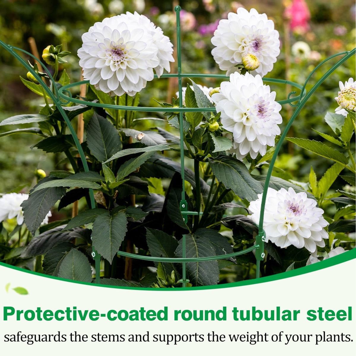HEYTIMI rustproof iron-wire cage withstands outdoor weather