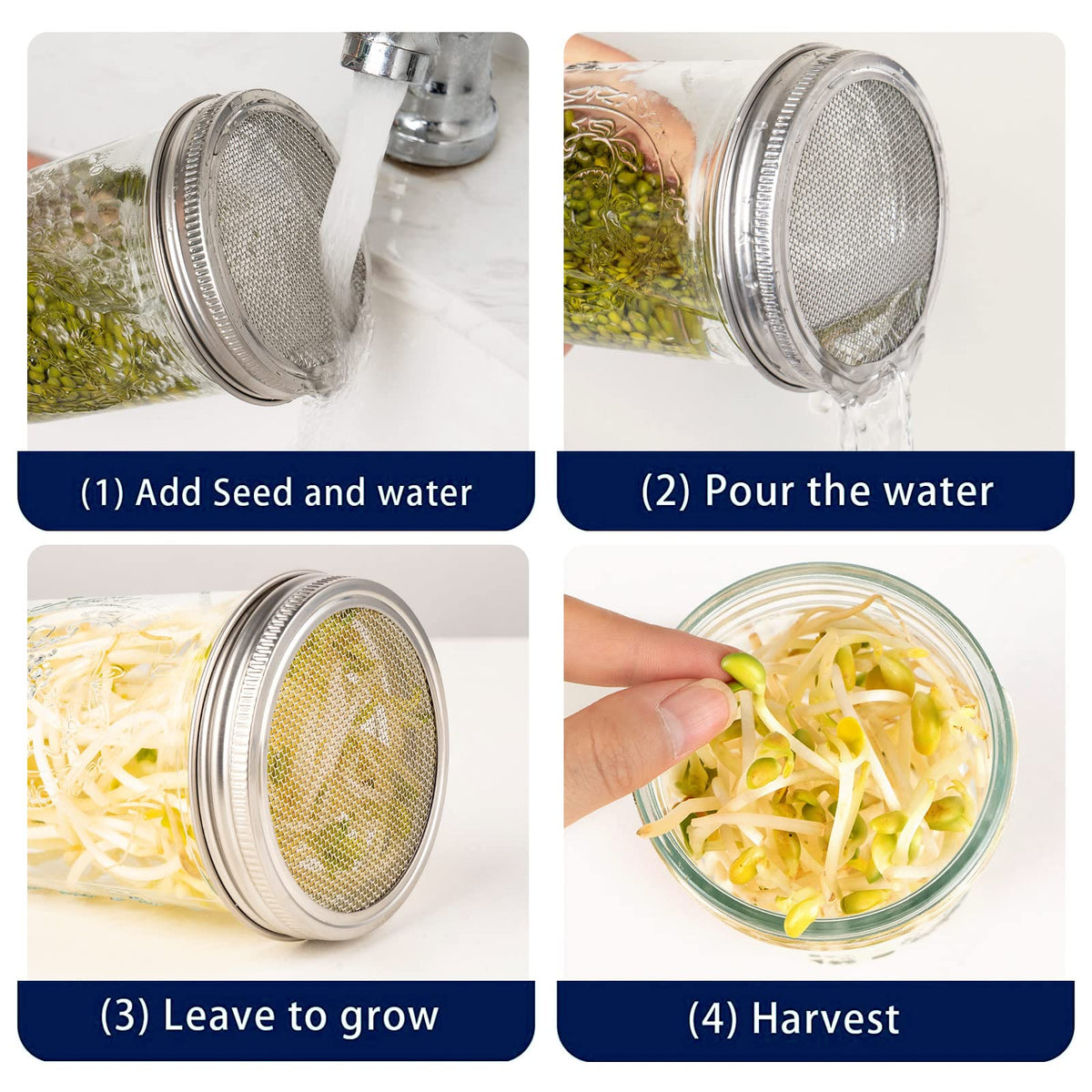 HFXXAD surgical-316 stainless steel lid visible, rust-free and durable for germination