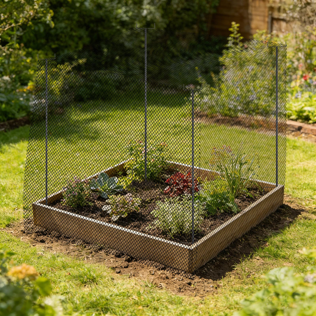 HFYZZ 78-inch steel garden stakes reinforce crops against wind and rain