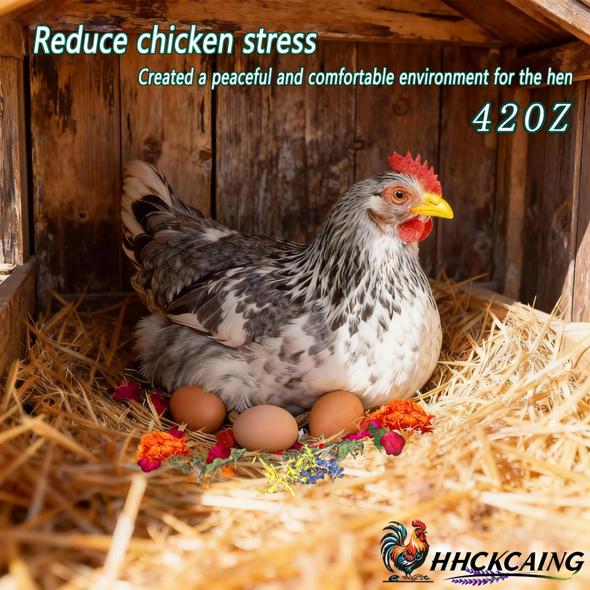 HHCkcaing lavender blend for a calm coop atmosphere and reduced stress
