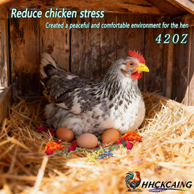 HHCkcaing lavender blend for a calm coop atmosphere and reduced stress