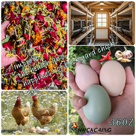 HHCkcaing pest-deterrent herbs in coop bedding help minimize intruders while keeping hens comfortable.