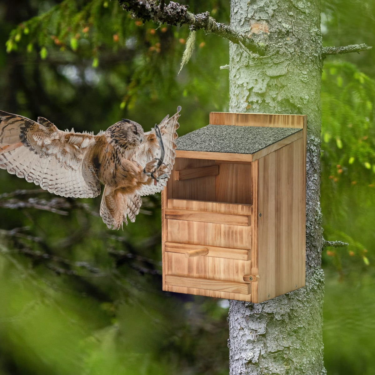 HHWODB Owl House mounting screws included for quick installation