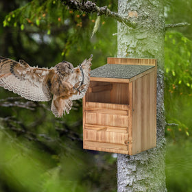 HHWODB Owl House mounting screws included for quick installation