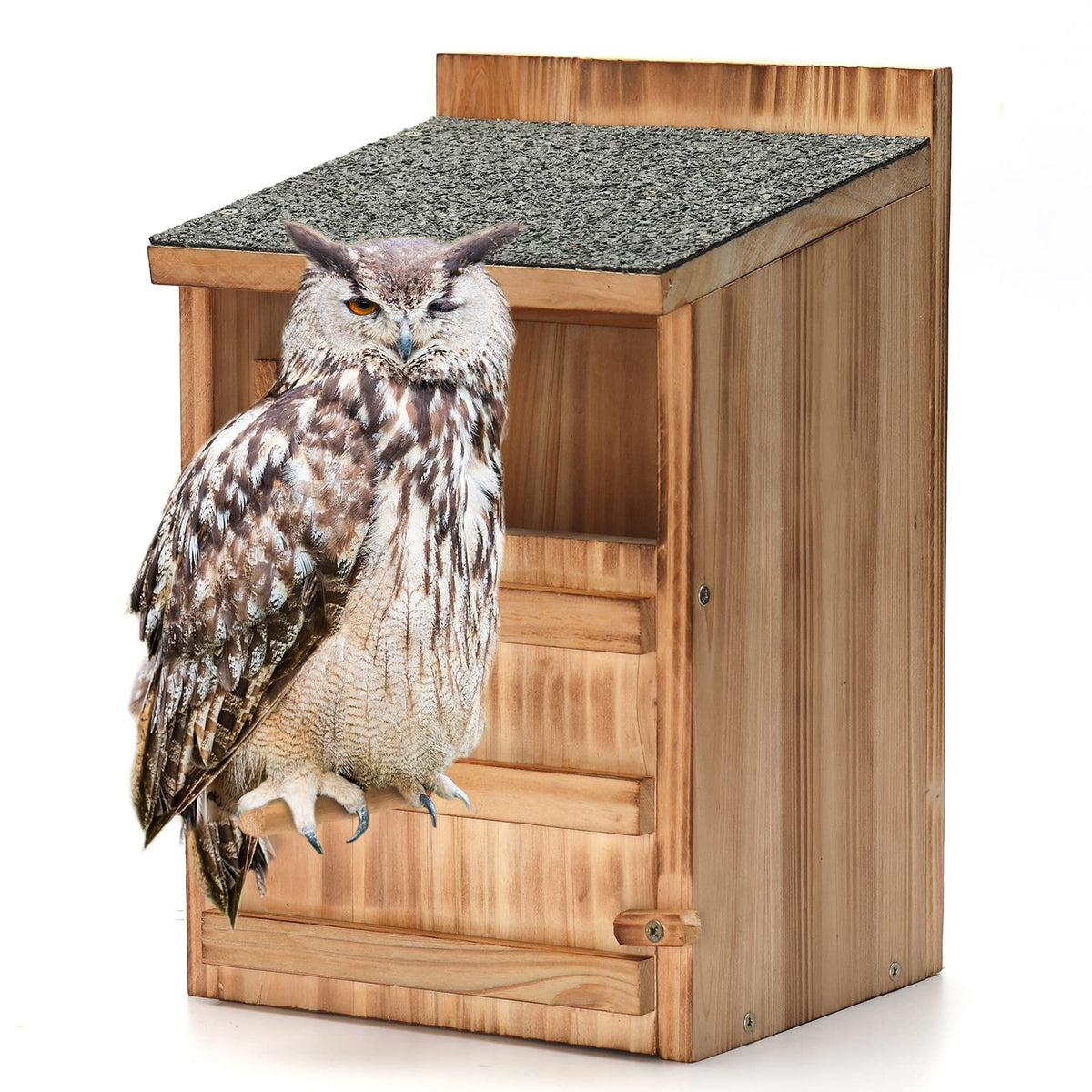 HHWODB Owl House outdoor hanging habitat ideal for backyard owl viewing