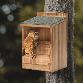 HHWODB Owl House perch pole provides extra roosting space