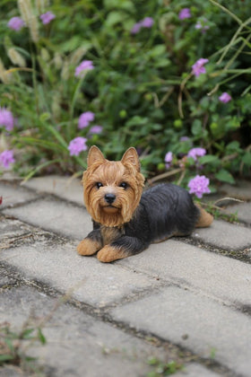 HI-LINE Yorkshire Terrier resin statue lying down for outdoor garden decor.