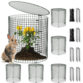 Hiboom garden protector cage assembled around a plant showing sturdy protection and sunlight flow.