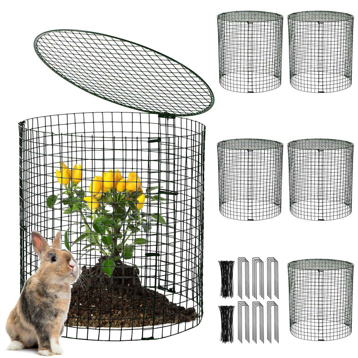 Hiboom garden protector cage assembly view showing easy setup and protection