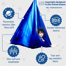 HiCamer indoor-outdoor sensory swing for versatile therapy sessions