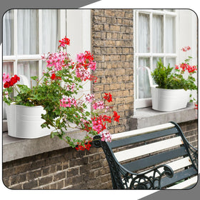 Hicarer bottom dimensions 22.5x9.5 cm versatile display