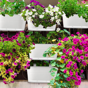 Hicarer upper dimensions 27x14 cm suitable for many plants