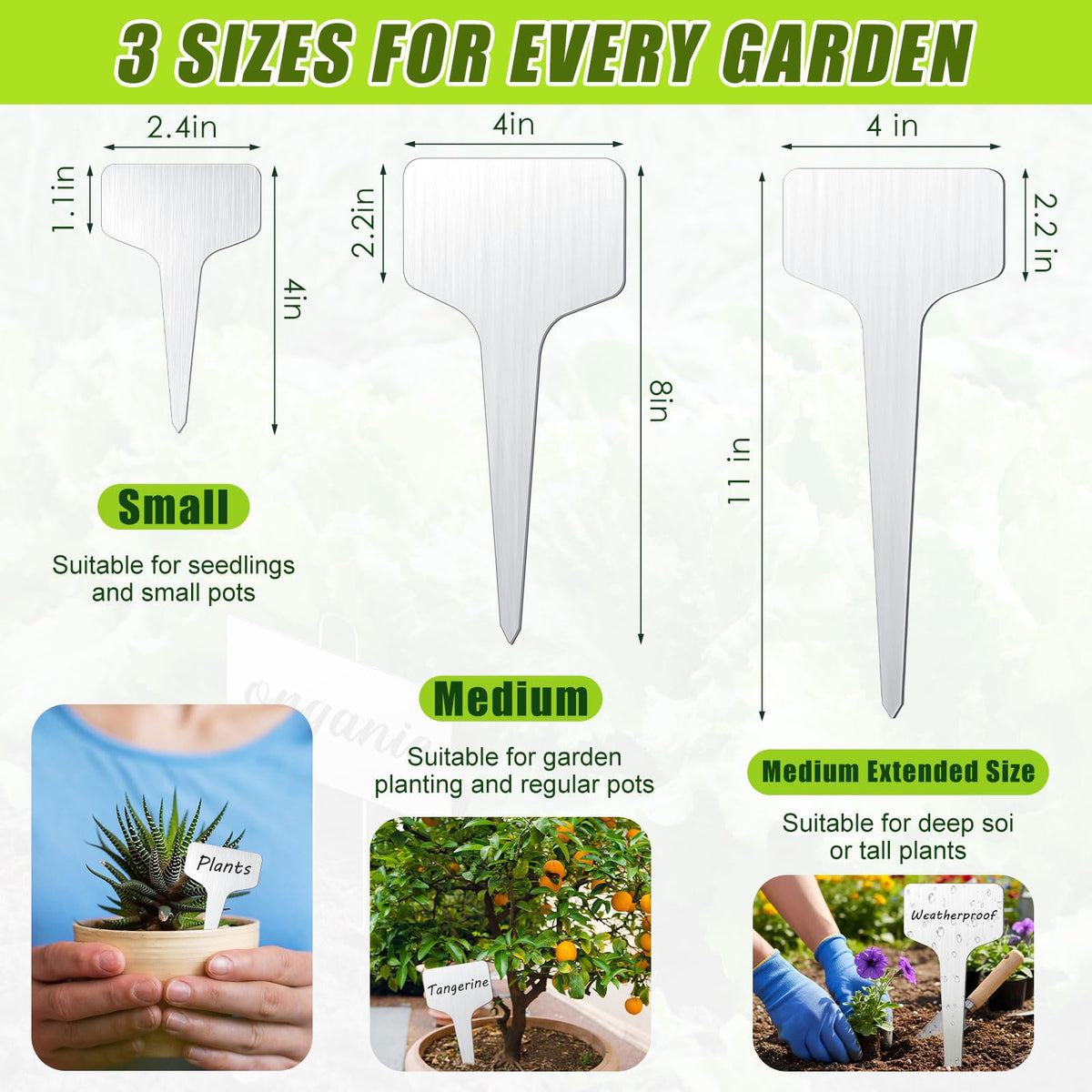 Hicarer stainless steel plant label with waterproof durability for outdoor gardens.