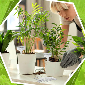 Hicarer versatile garden labels suitable for fruit trees, vegetables, flowers, and herbs.