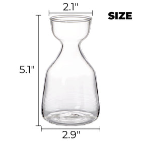 Hiceeden avocado seed starter vase set showcases elegant minimalist design for modern interiors.