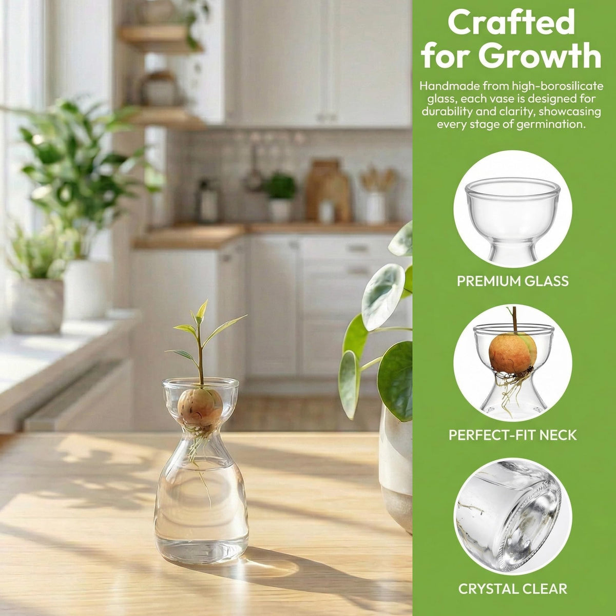 Hiceeden 3-pack brings nature closer on shelves, counters, or desks.