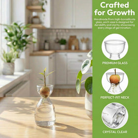 Hiceeden 3-pack brings nature closer on shelves, counters, or desks.