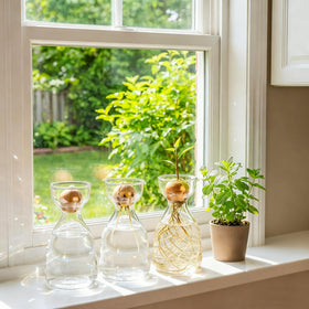 Hiceeden avocado seed vase makes a thoughtful gift for garden lovers.