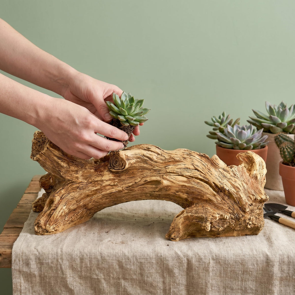Hiceeden indoor-outdoor planter durable for versatile placements