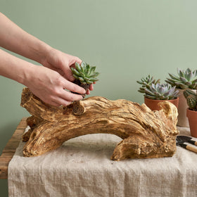 Hiceeden indoor-outdoor planter durable for versatile placements