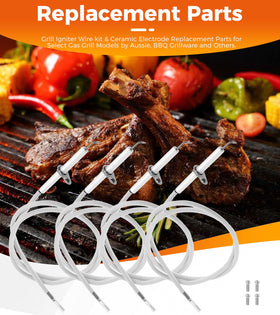 Hicello wide compatibility chart shows versatile grill brands