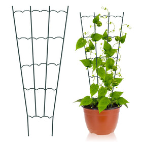 HiGift supports ivy and flowers, enhancing decorative plant displays.