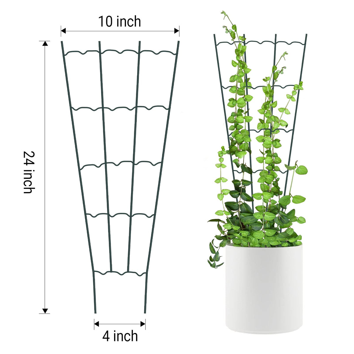 HiGift metal trellis provides sturdy support for climbing plants.