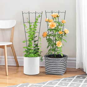 HiGift rose and vegetable trellis keeps branches neat and supported.
