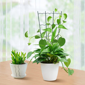 HiGift rust-proof, weather-resistant trellis for outdoor gardens.