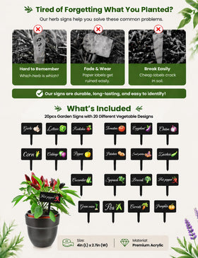 HIENAJ T-type stakes offer root-friendly soil insertion for durable garden signage.