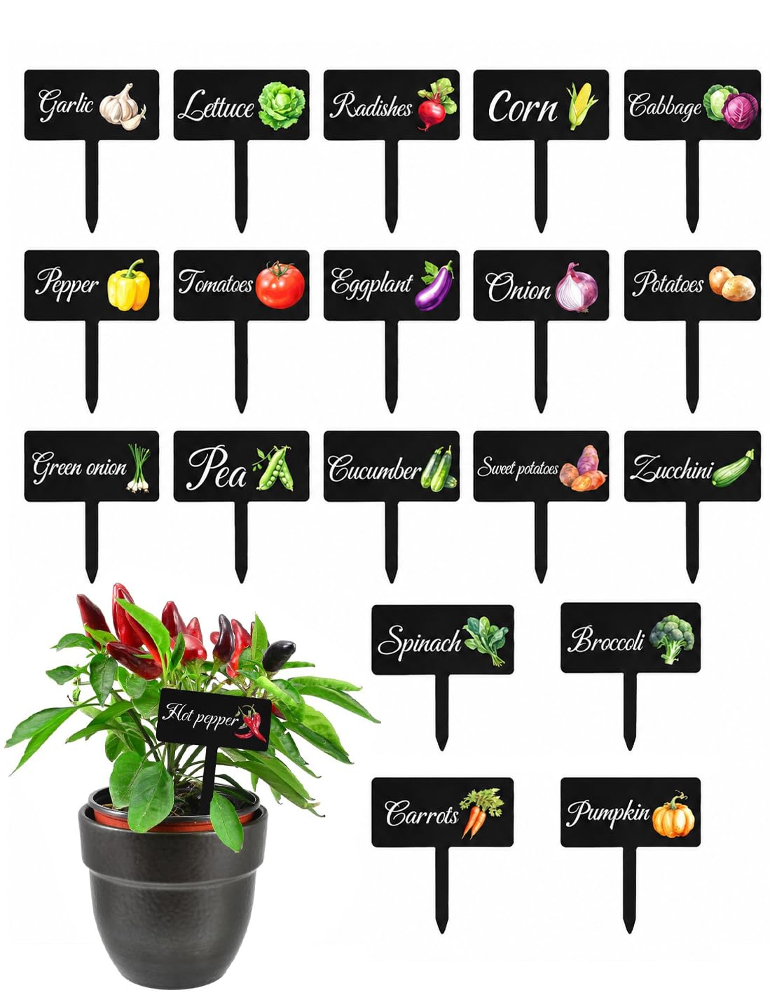 HIENAJ vegetable signs with 20 styles for clear garden labeling in pots and beds.