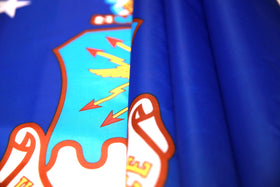 High Supply Air Force flag polyester fabric for color retention